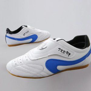 BreathableTaekwond Shoe Men's Kung Fu Shoes
